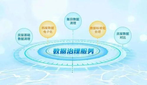 強(qiáng)基固本，鵬業(yè)數(shù)據(jù)治理服務(wù)獲客戶表彰